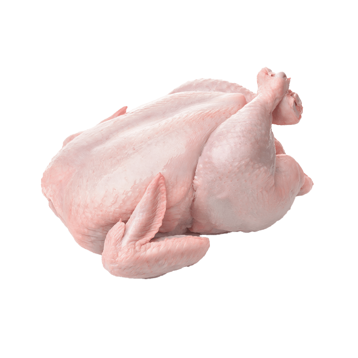 Ayam Bulat