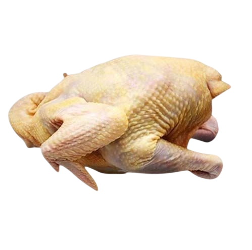 Ayam Tua